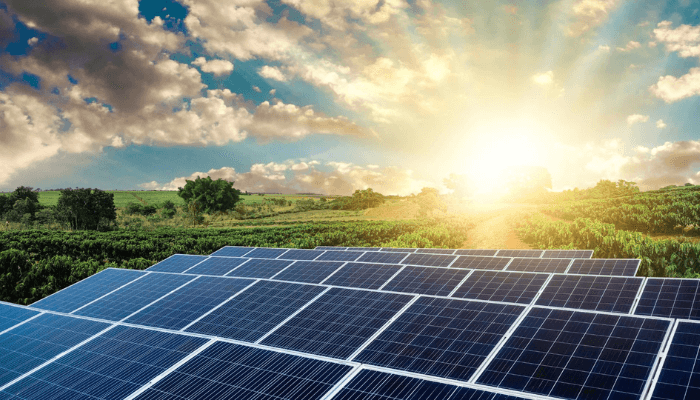 Vios Energy chief warns Nigeria's grid could be abandoned like Pakistan's as battery costs collapse